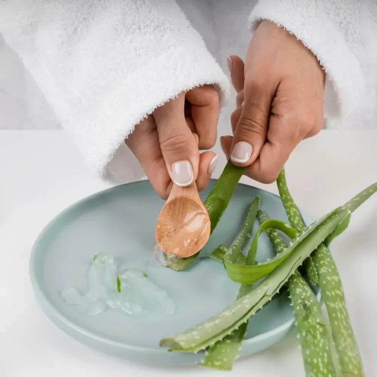 Une routine d'hygiène complète aux bienfaits de l'aloe vera peau, incluant un gel douche et une feuille d'aloe vera fraîche.