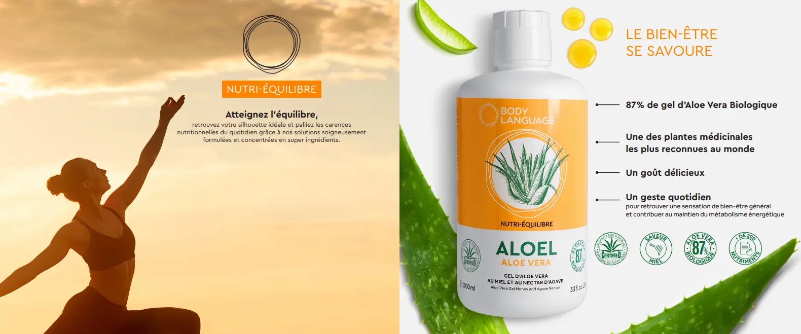 Bouteille ALOEL pour cure détox aloe vera miel et agave